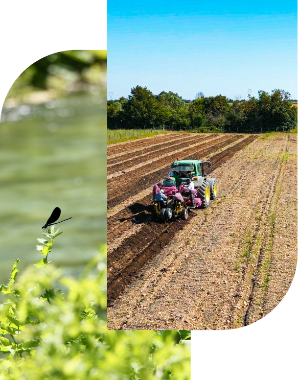 Chantier ou développement agricole