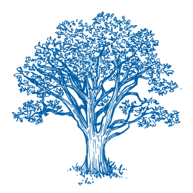 Illustration Environnement